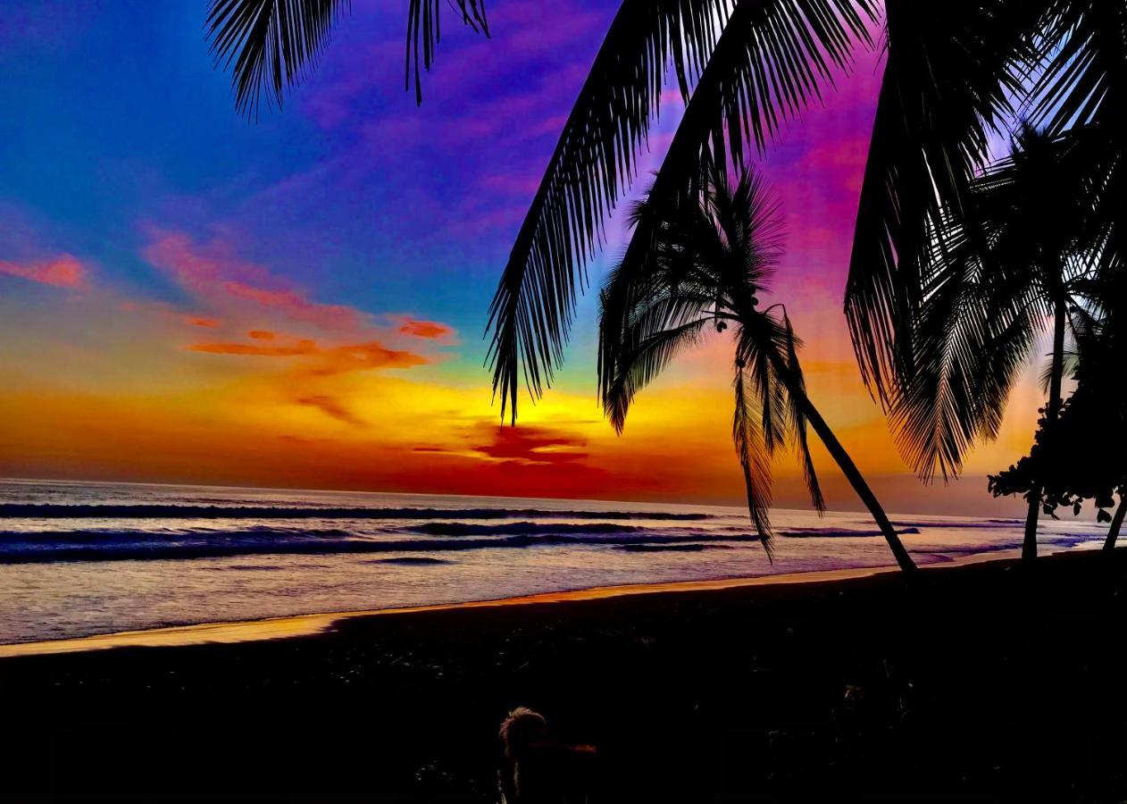 Beachfront Paradise Vườn quốc gia Vườn quốc gia Manuel Antonio Ngoại thất bức ảnh