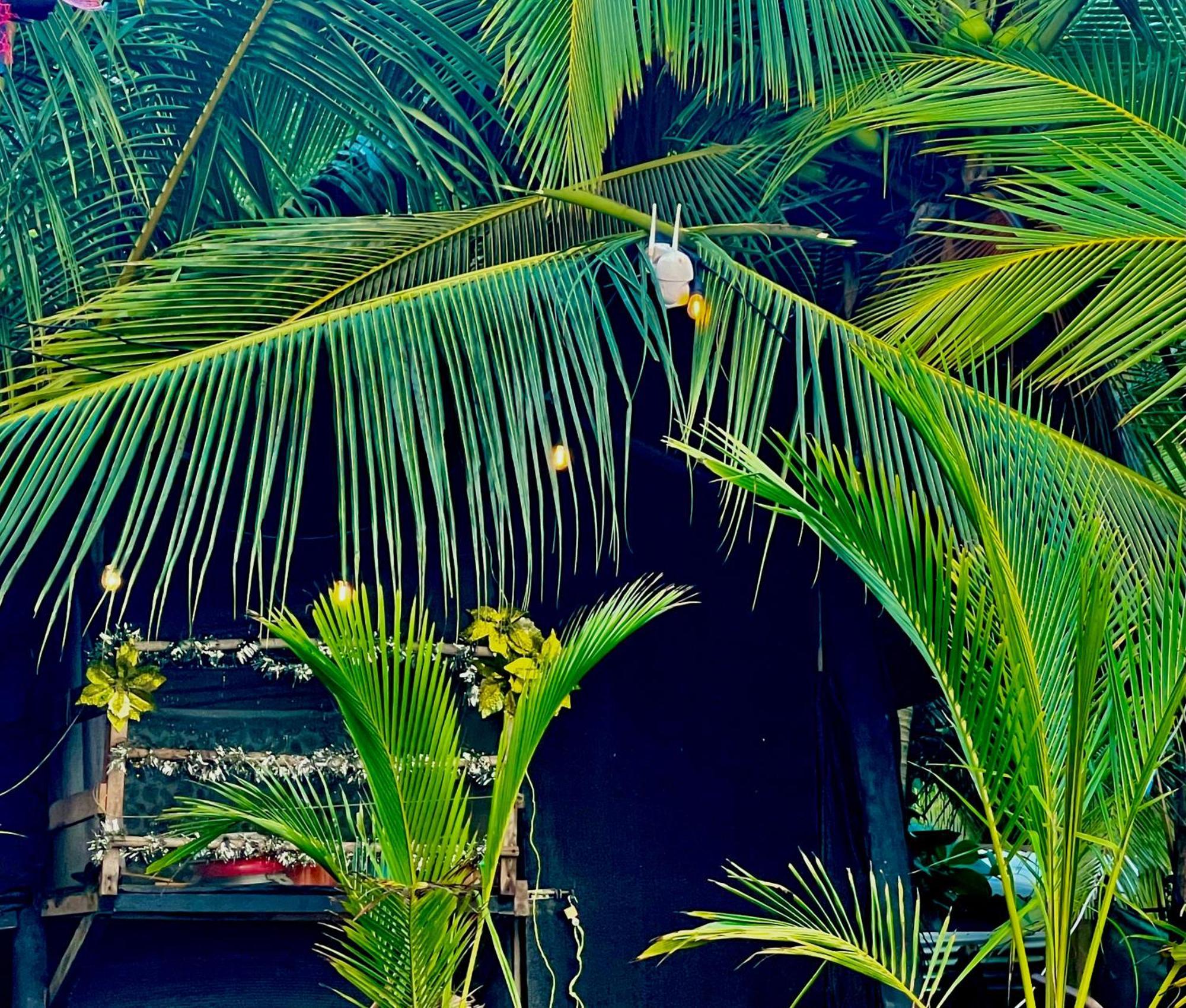 Beachfront Paradise Vườn quốc gia Vườn quốc gia Manuel Antonio Ngoại thất bức ảnh