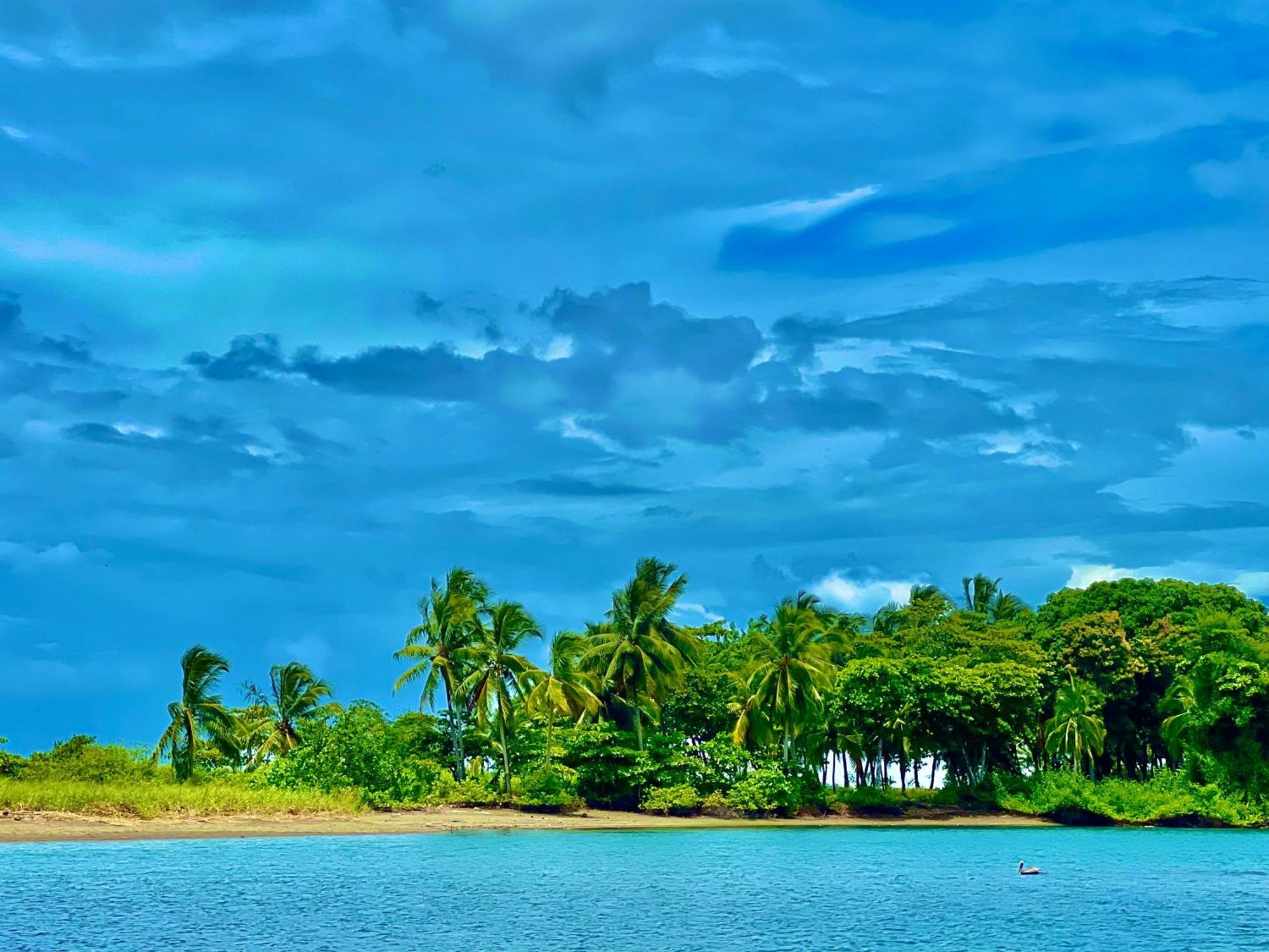 Beachfront Paradise Vườn quốc gia Vườn quốc gia Manuel Antonio Ngoại thất bức ảnh