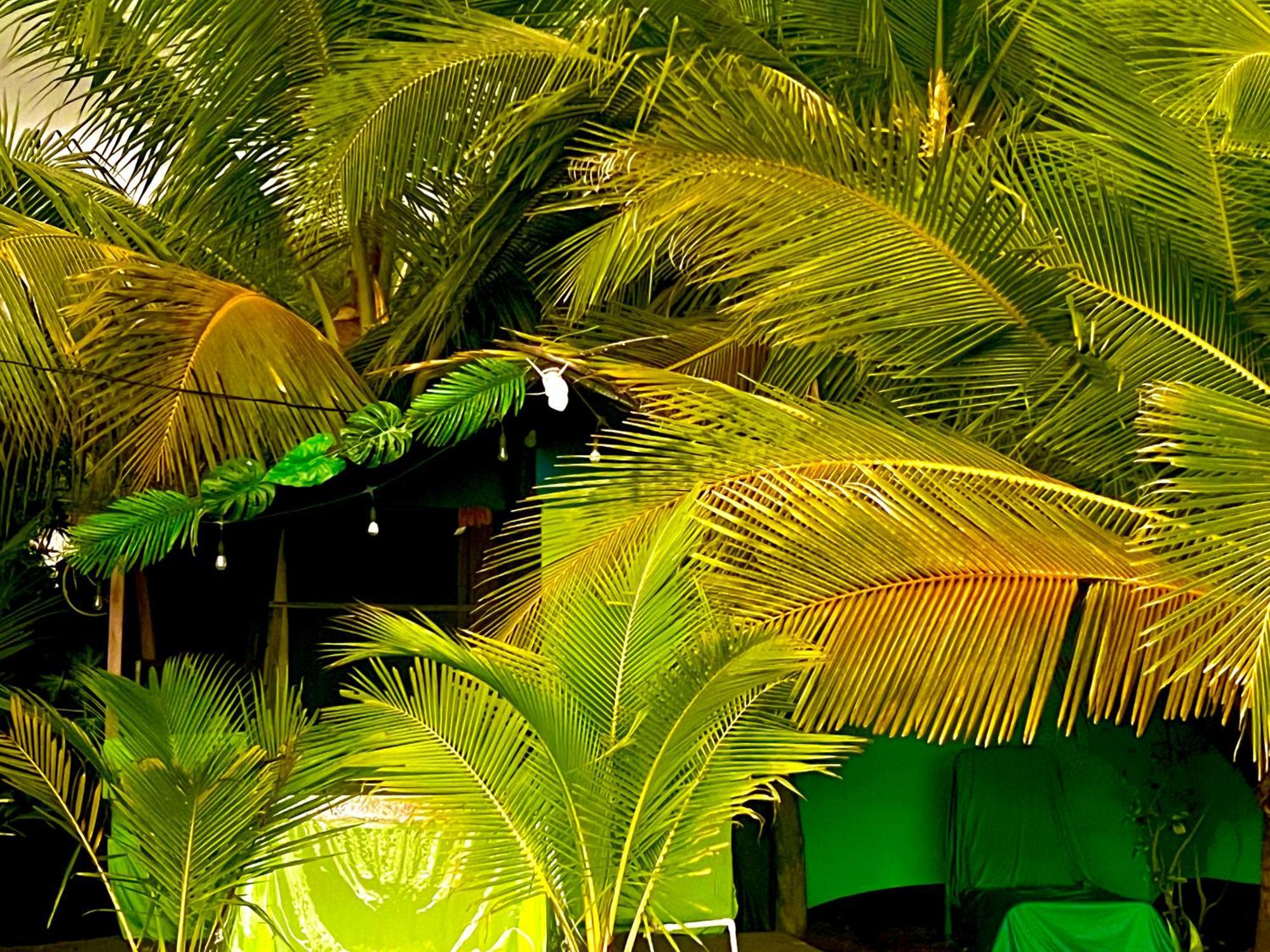 Beachfront Paradise Vườn quốc gia Vườn quốc gia Manuel Antonio Ngoại thất bức ảnh