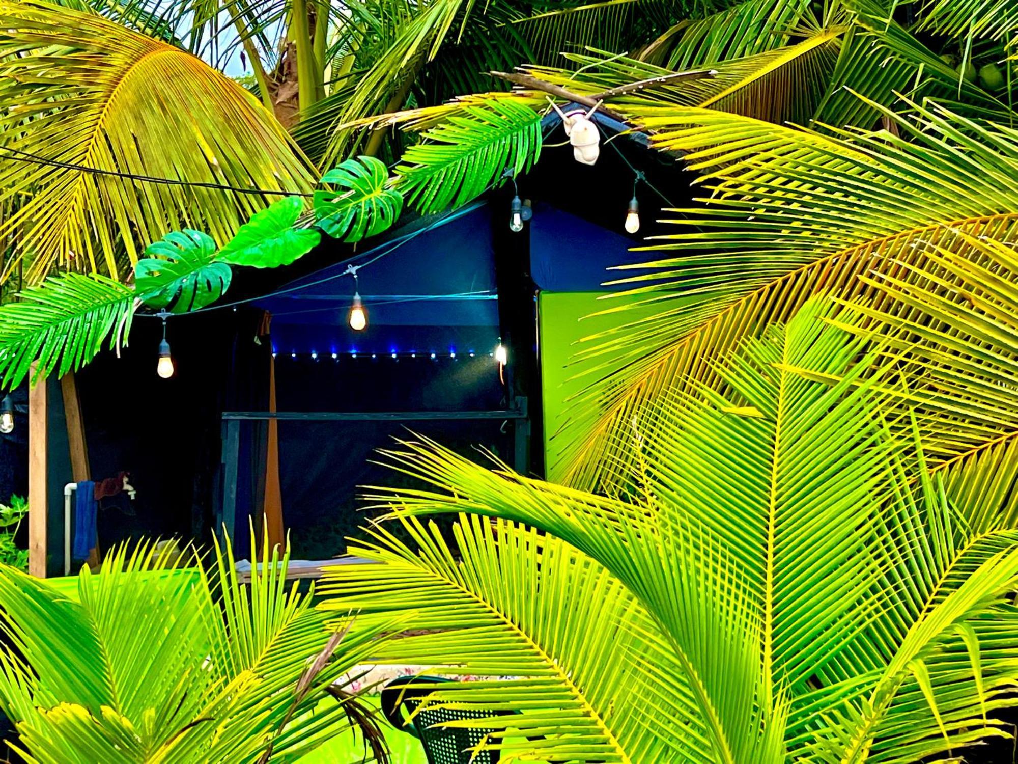 Beachfront Paradise Vườn quốc gia Vườn quốc gia Manuel Antonio Ngoại thất bức ảnh